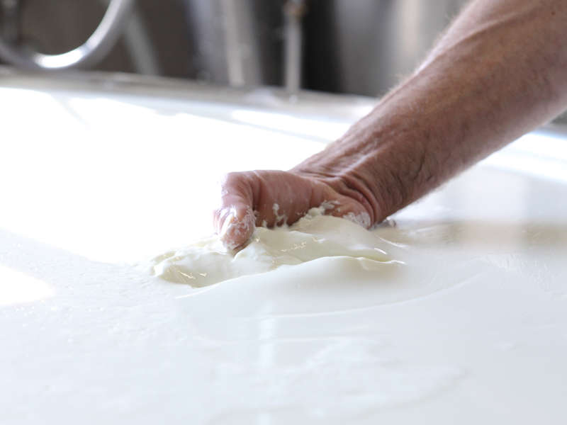 Tailor-made Dairy Courses